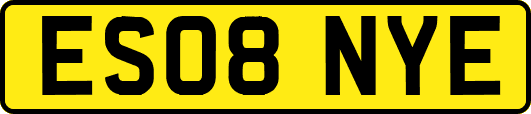 ES08NYE