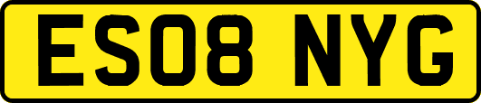 ES08NYG