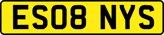 ES08NYS