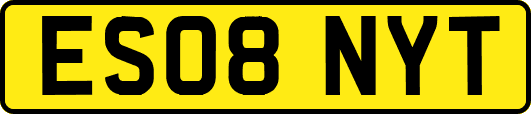 ES08NYT