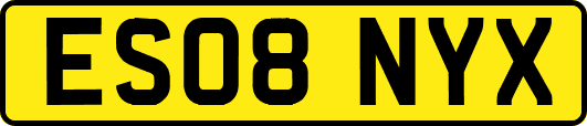 ES08NYX