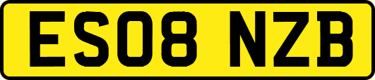 ES08NZB