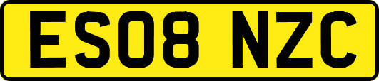 ES08NZC