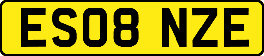 ES08NZE