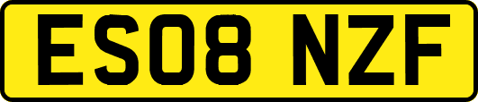 ES08NZF