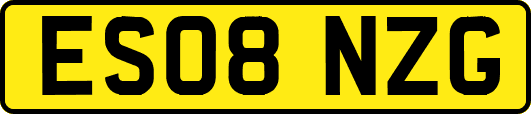 ES08NZG