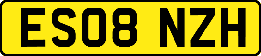 ES08NZH