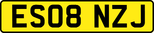 ES08NZJ