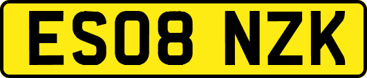 ES08NZK