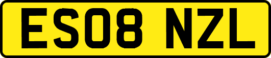 ES08NZL
