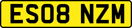 ES08NZM