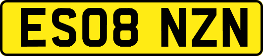 ES08NZN