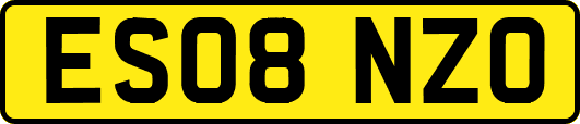 ES08NZO