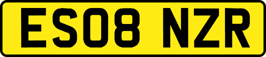 ES08NZR