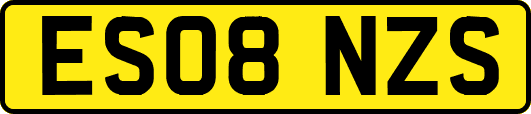ES08NZS