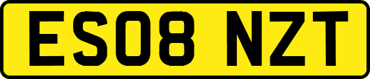 ES08NZT
