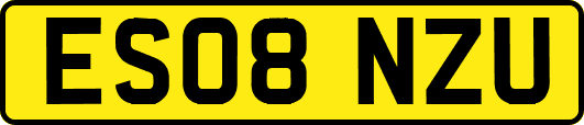 ES08NZU