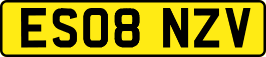 ES08NZV
