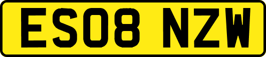 ES08NZW