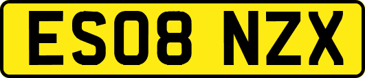 ES08NZX