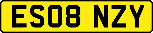 ES08NZY
