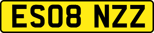 ES08NZZ