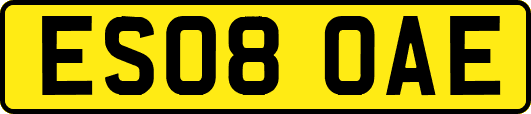 ES08OAE