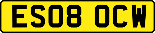 ES08OCW