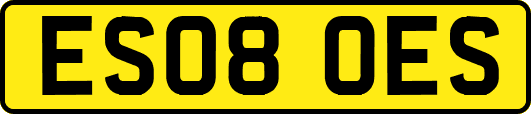 ES08OES