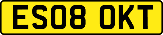 ES08OKT