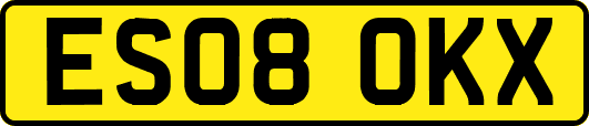 ES08OKX
