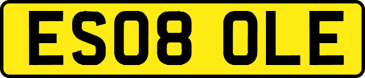 ES08OLE