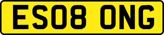 ES08ONG