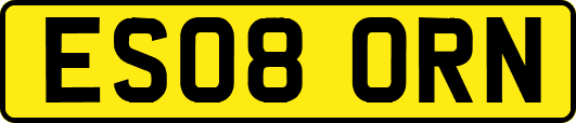 ES08ORN