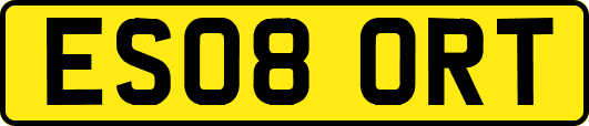 ES08ORT