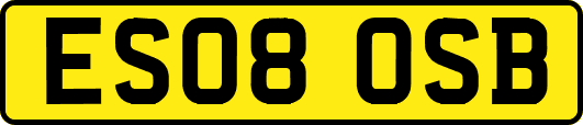 ES08OSB