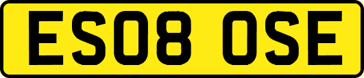 ES08OSE