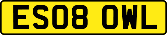 ES08OWL