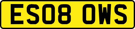 ES08OWS