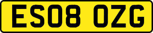 ES08OZG
