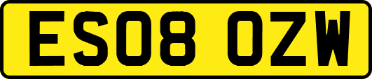 ES08OZW