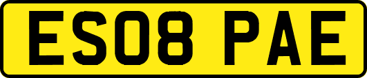 ES08PAE