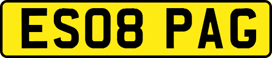 ES08PAG