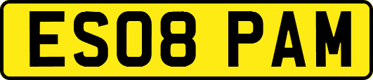 ES08PAM