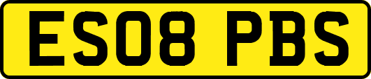 ES08PBS