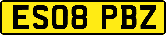ES08PBZ