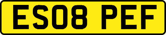 ES08PEF