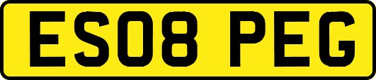 ES08PEG