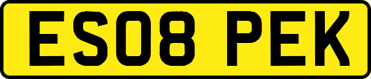 ES08PEK