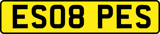 ES08PES